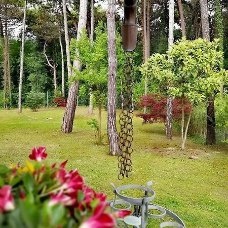 Hotel&wellness Fra I Pini 3* Lignano Sabbiadoro